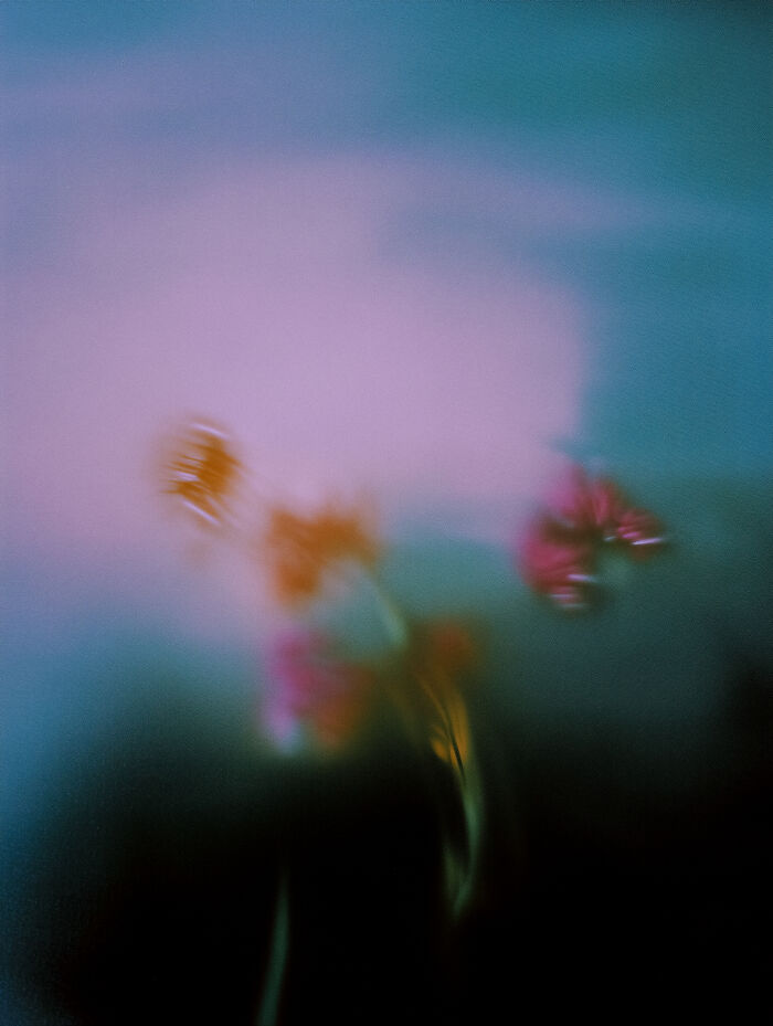 28 Dreamlike Works By Lela Amparo Where Ambient Music Meets Otherworldly Visuals