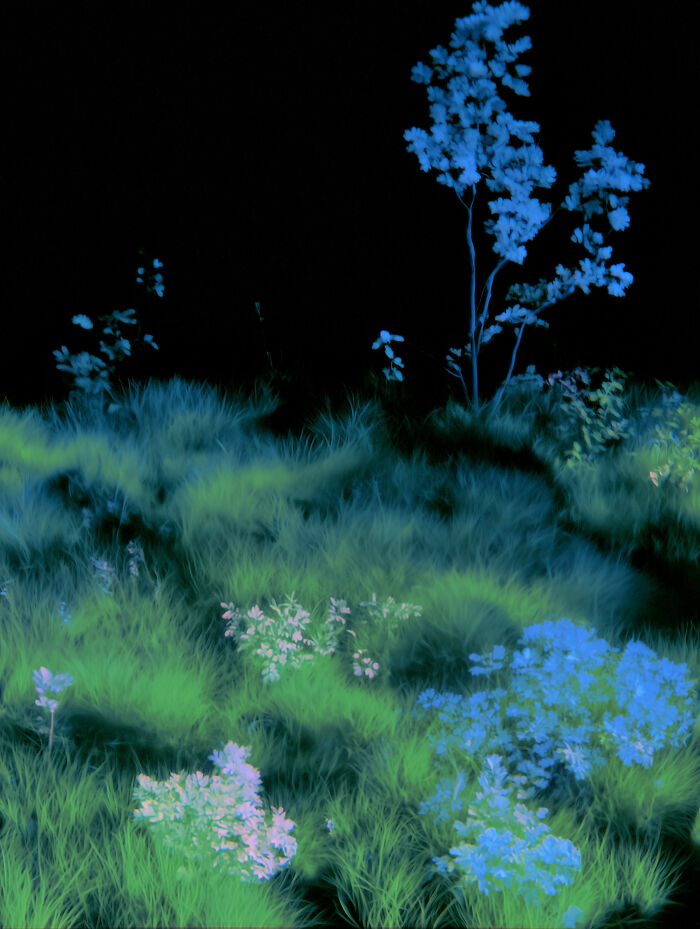 28 Dreamlike Works By Lela Amparo Where Ambient Music Meets Otherworldly Visuals