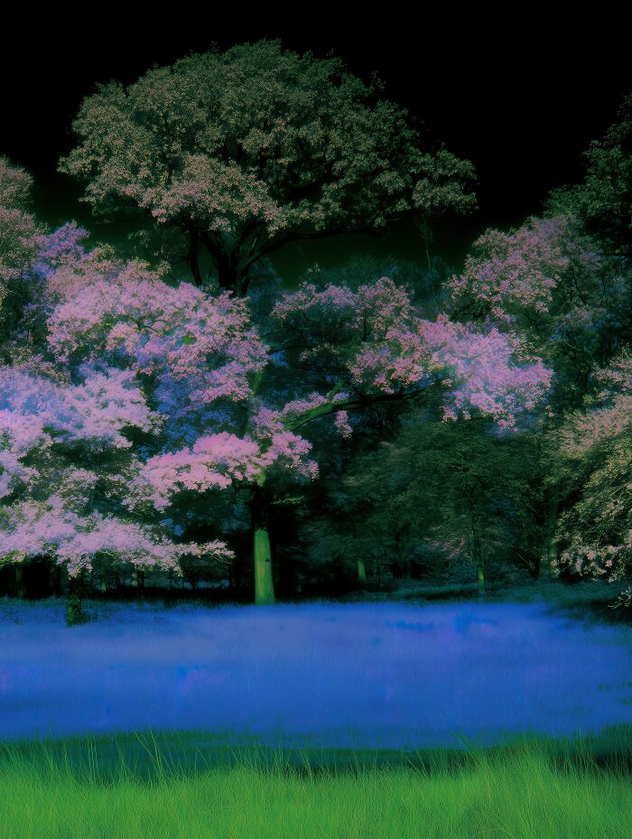 28 Dreamlike Works By Lela Amparo Where Ambient Music Meets Otherworldly Visuals