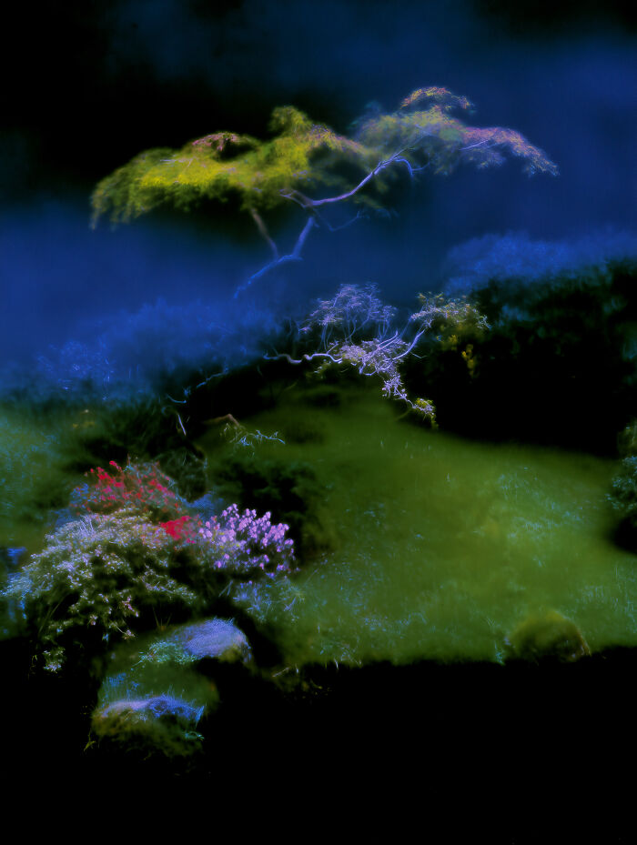 28 Dreamlike Works By Lela Amparo Where Ambient Music Meets Otherworldly Visuals