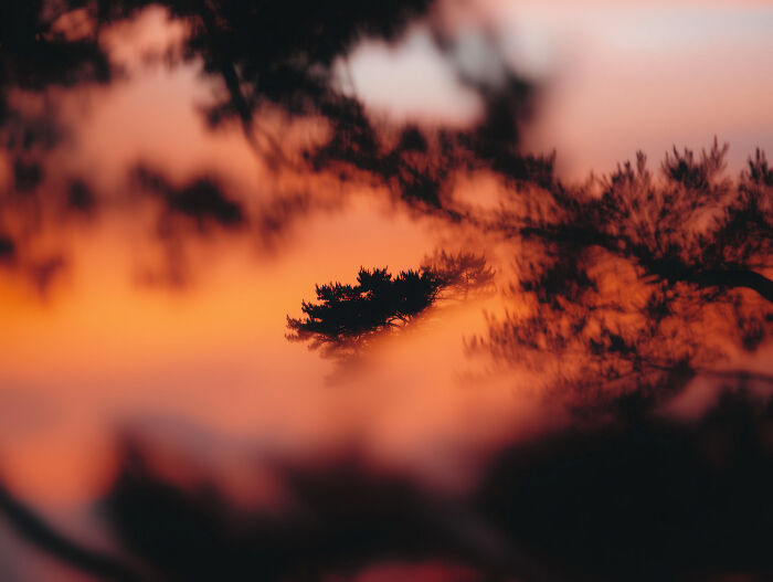 28 Dreamlike Works By Lela Amparo Where Ambient Music Meets Otherworldly Visuals