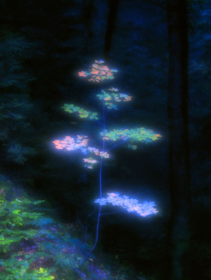 28 Dreamlike Works By Lela Amparo Where Ambient Music Meets Otherworldly Visuals