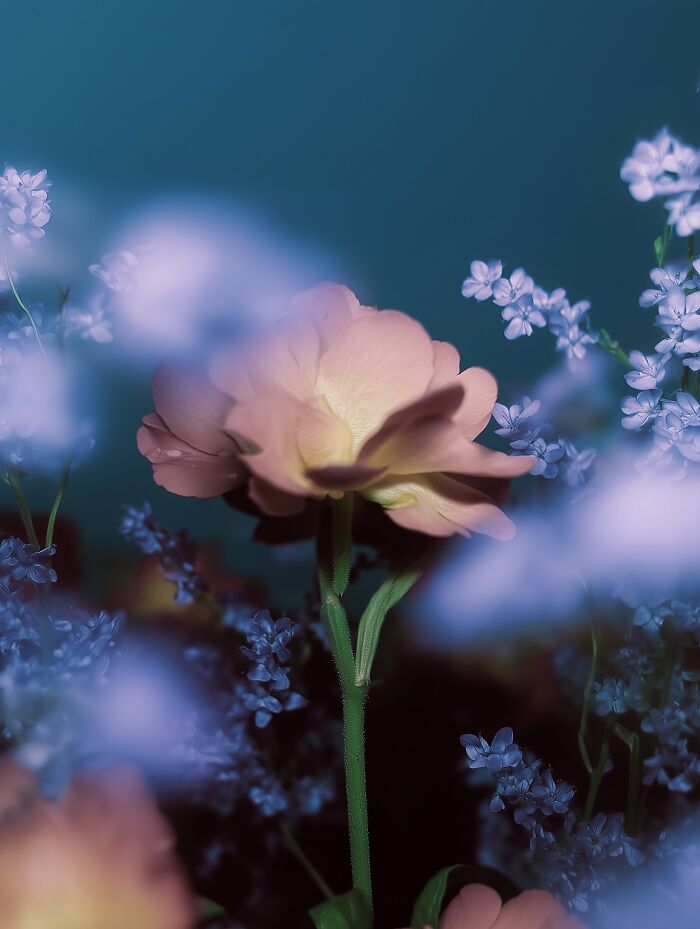 28 Dreamlike Works By Lela Amparo Where Ambient Music Meets Otherworldly Visuals