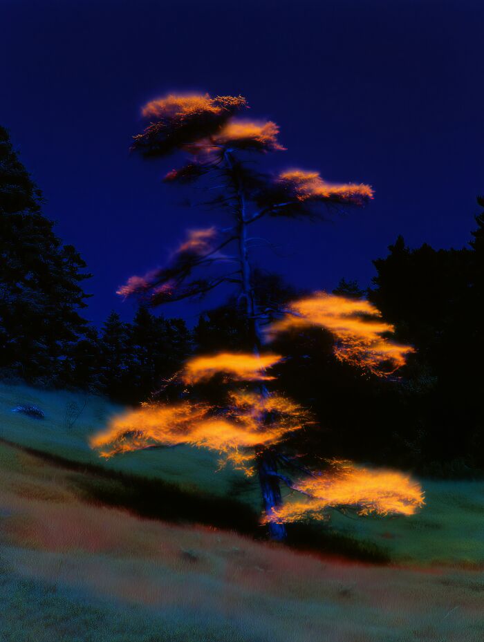 28 Dreamlike Works By Lela Amparo Where Ambient Music Meets Otherworldly Visuals