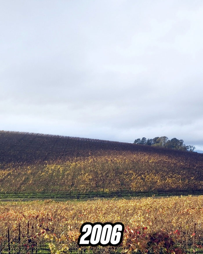 People Are Shocked When They Find Out How The Iconic Window XP Wallpaper Hill Looks Now