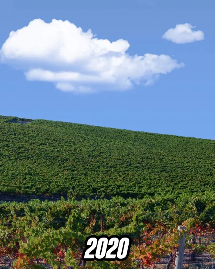 People Are Shocked When They Find Out How The Iconic Window XP Wallpaper Hill Looks Now