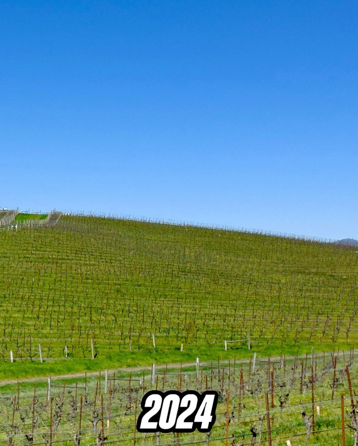 People Are Shocked When They Find Out How The Iconic Window XP Wallpaper Hill Looks Now