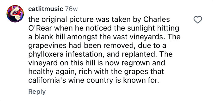 People Are Shocked When They Find Out How The Iconic Window XP Wallpaper Hill Looks Now