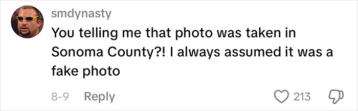 People Are Shocked When They Find Out How The Iconic Window XP Wallpaper Hill Looks Now
