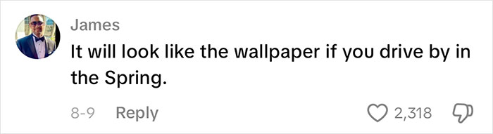 People Are Shocked When They Find Out How The Iconic Window XP Wallpaper Hill Looks Now