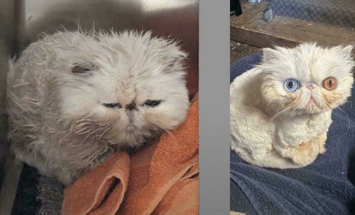 66 Before And After Photos That Show Surprising, Fascinating And Inspiring Transformations