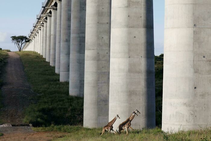 Not Everyone Is Terrified Of Massive Objects, But These 75 Pics Might Have You Thinking Otherwise