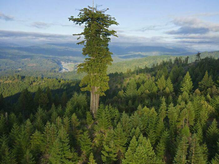 Not Everyone Is Terrified Of Massive Objects, But These 75 Pics Might Have You Thinking Otherwise