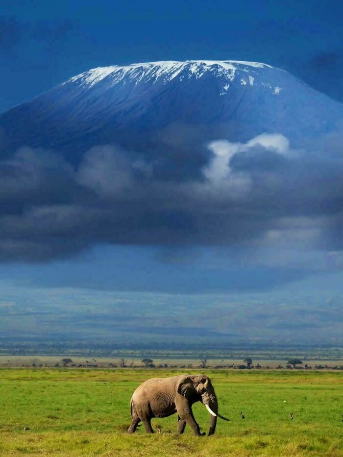 Not Everyone Is Terrified Of Massive Objects, But These 75 Pics Might Have You Thinking Otherwise