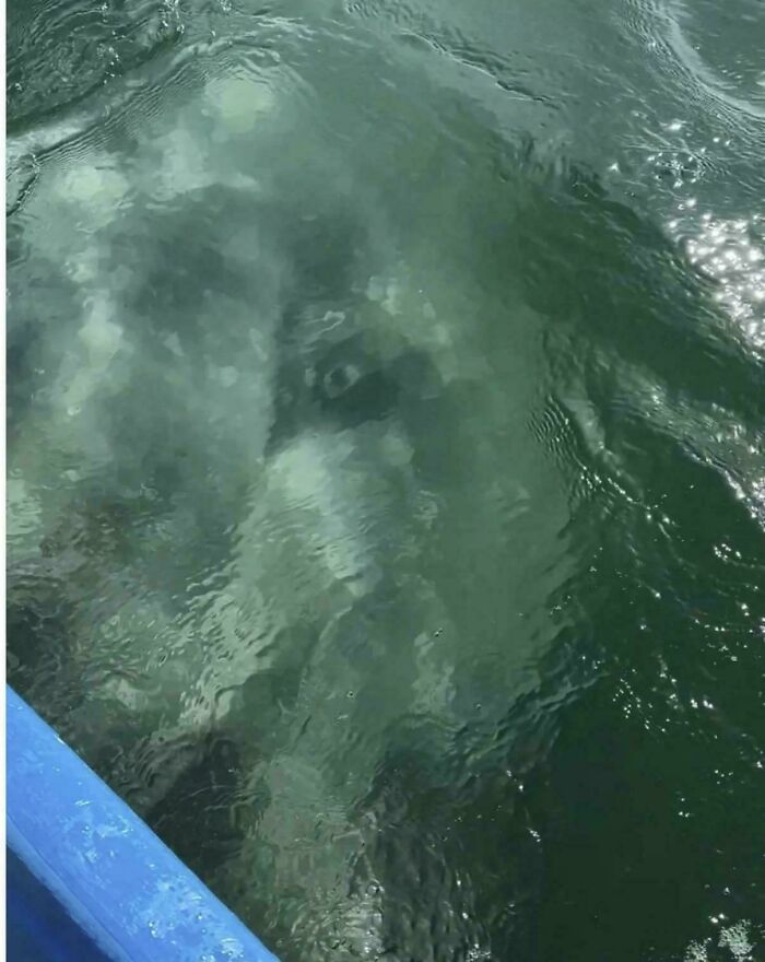 Not Everyone Is Terrified Of Massive Objects, But These 75 Pics Might Have You Thinking Otherwise