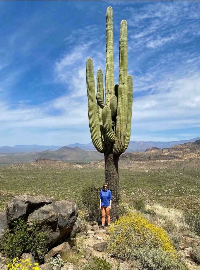 Not Everyone Is Terrified Of Massive Objects, But These 75 Pics Might Have You Thinking Otherwise