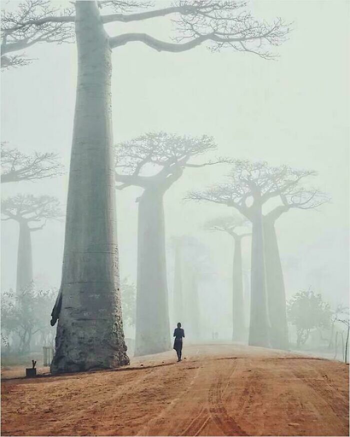 Not Everyone Is Terrified Of Massive Objects, But These 75 Pics Might Have You Thinking Otherwise