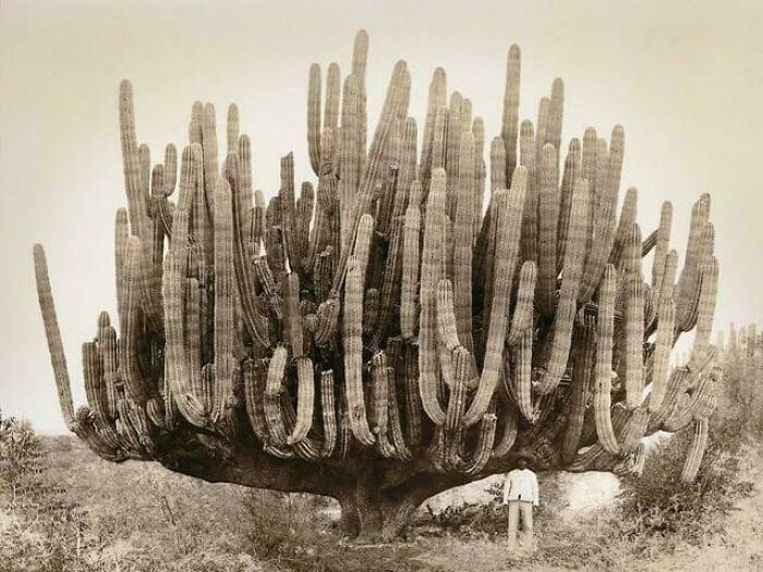 Not Everyone Is Terrified Of Massive Objects, But These 75 Pics Might Have You Thinking Otherwise