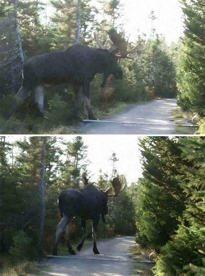 Not Everyone Is Terrified Of Massive Objects, But These 75 Pics Might Have You Thinking Otherwise