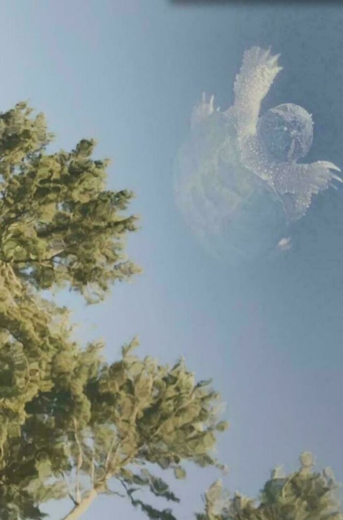 Not Everyone Is Terrified Of Massive Objects, But These 75 Pics Might Have You Thinking Otherwise