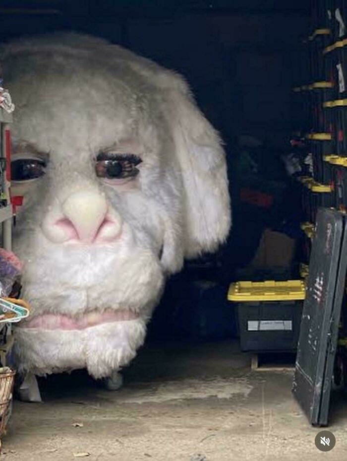 Not Everyone Is Terrified Of Massive Objects, But These 75 Pics Might Have You Thinking Otherwise