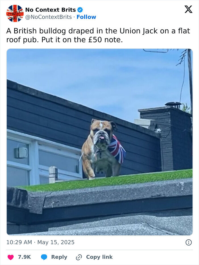 90 British Tweets That Prove Their Humor Is Like No Other