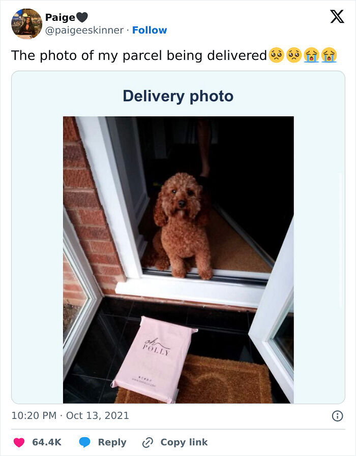90 British Tweets That Prove Their Humor Is Like No Other