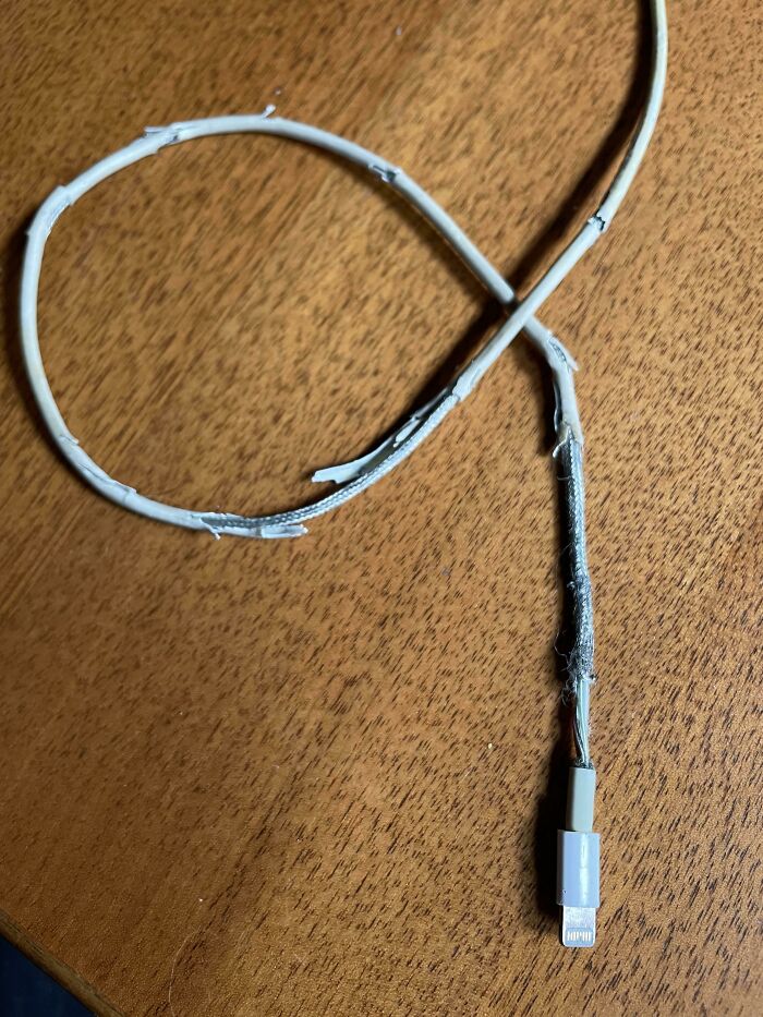 58 &ldquo;Buy It For Life&rdquo; Products That Didn’t Survive Long Enough To Justify The Price