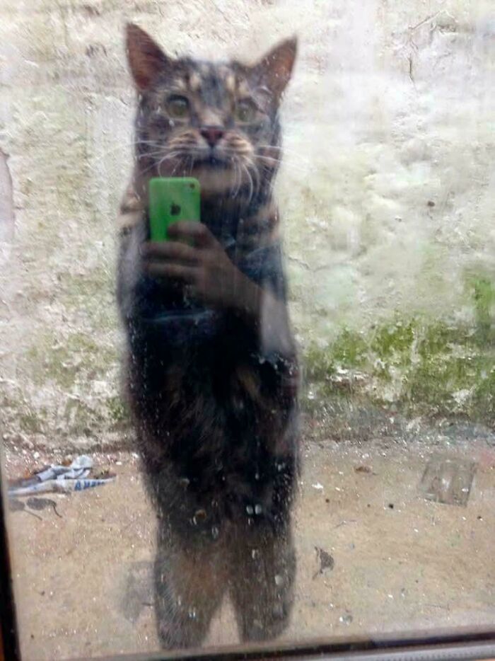 80 Photos That Make Your Brain And Your Eyes Fight About What’s Actually In Them 80 Photos That Make Your Brain And Your Eyes Fight About What’s Actually In Them