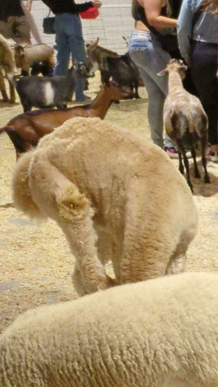 80 Photos That Make Your Brain And Your Eyes Fight About What’s Actually In Them 80 Photos That Make Your Brain And Your Eyes Fight About What’s Actually In Them