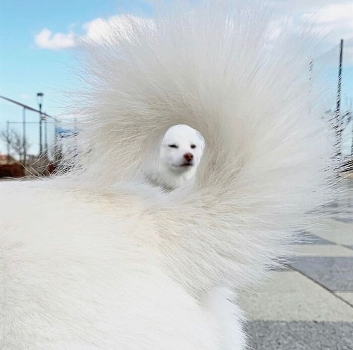 80 Photos That Make Your Brain And Your Eyes Fight About What’s Actually In Them 80 Photos That Make Your Brain And Your Eyes Fight About What’s Actually In Them