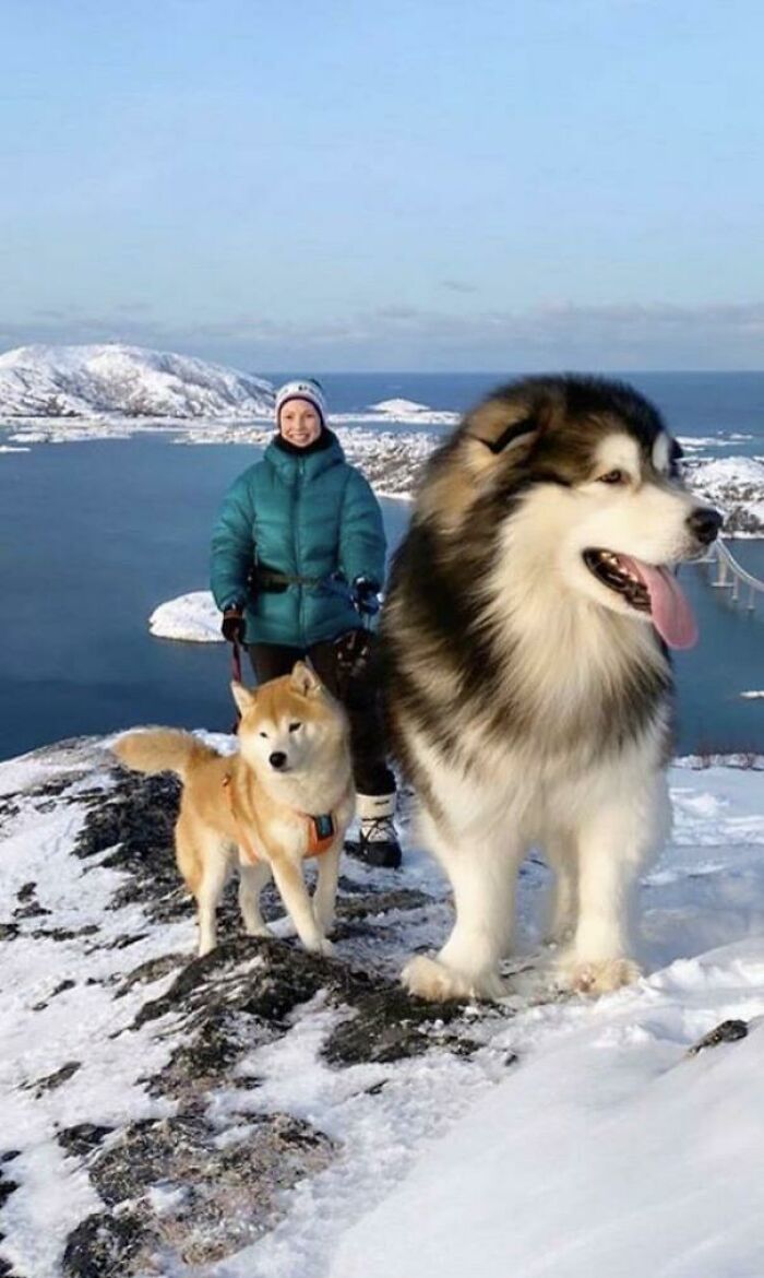 80 Photos That Make Your Brain And Your Eyes Fight About What’s Actually In Them 80 Photos That Make Your Brain And Your Eyes Fight About What’s Actually In Them