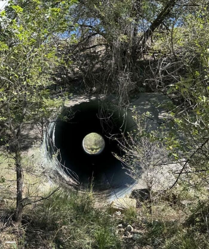 80 Photos That Make Your Brain And Your Eyes Fight About What’s Actually In Them 80 Photos That Make Your Brain And Your Eyes Fight About What’s Actually In Them