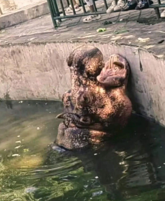 80 Photos That Make Your Brain And Your Eyes Fight About What’s Actually In Them 80 Photos That Make Your Brain And Your Eyes Fight About What’s Actually In Them