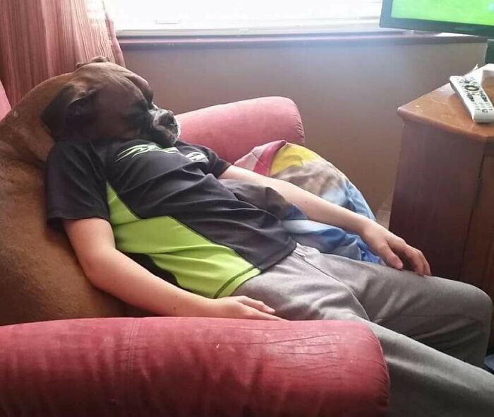 80 Photos That Make Your Brain And Your Eyes Fight About What’s Actually In Them 80 Photos That Make Your Brain And Your Eyes Fight About What’s Actually In Them