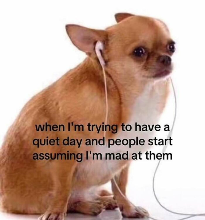 78 Relatable Memes That Feel Like Someone Secretly Turned Your Life Into Content