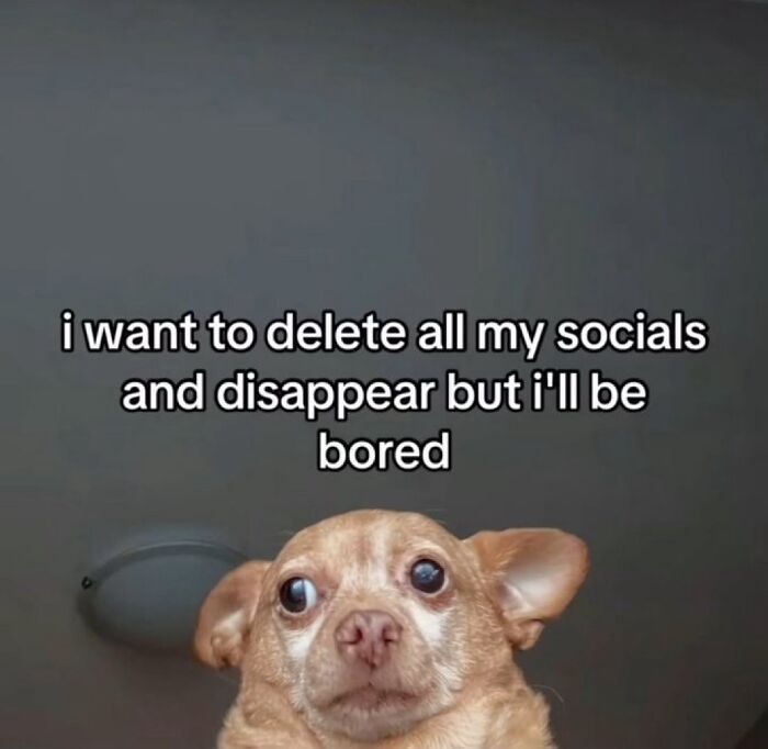 78 Relatable Memes That Feel Like Someone Secretly Turned Your Life Into Content
