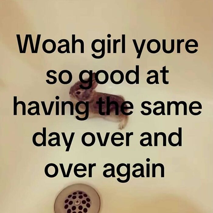 78 Relatable Memes That Feel Like Someone Secretly Turned Your Life Into Content