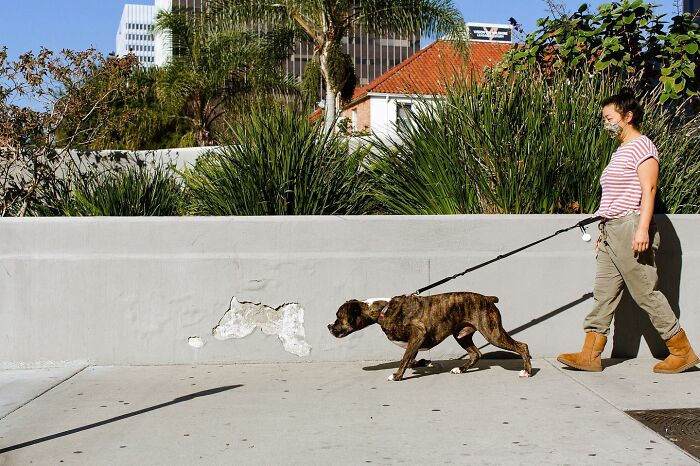 61 Perfectly Timed Street Photos By Jeremy Paige That Might Make You Look Twice 61 Perfectly Timed Street Photos By Jeremy Paige That Might Make You Look Twice