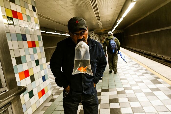 61 Perfectly Timed Street Photos By Jeremy Paige That Might Make You Look Twice 61 Perfectly Timed Street Photos By Jeremy Paige That Might Make You Look Twice