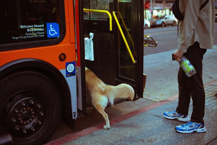 61 Perfectly Timed Street Photos By Jeremy Paige That Might Make You Look Twice 61 Perfectly Timed Street Photos By Jeremy Paige That Might Make You Look Twice