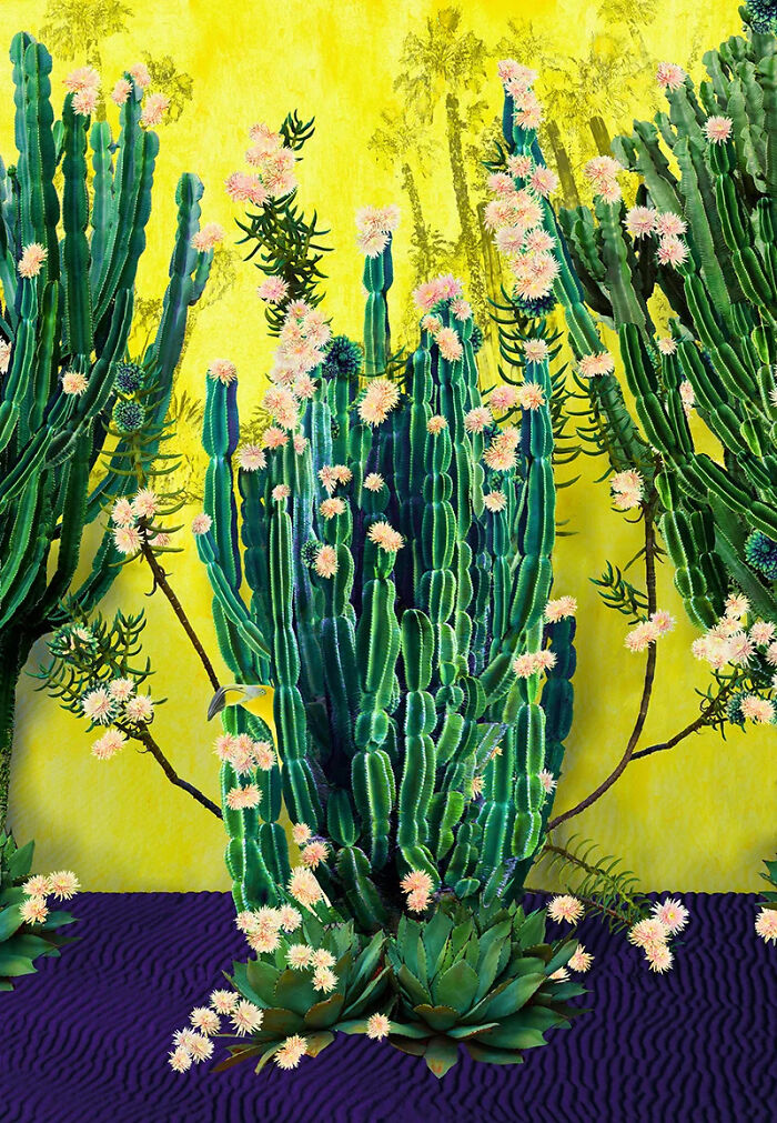 36 Art Pieces That Blend Photography And Paint By Nadia Attura 36 Art Pieces That Blend Photography And Paint By Nadia Attura