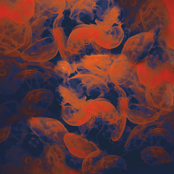 36 Art Pieces That Blend Photography And Paint By Nadia Attura 36 Art Pieces That Blend Photography And Paint By Nadia Attura