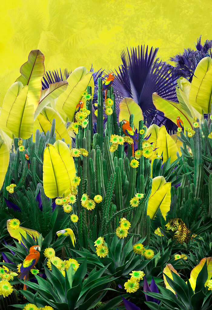 36 Art Pieces That Blend Photography And Paint By Nadia Attura 36 Art Pieces That Blend Photography And Paint By Nadia Attura