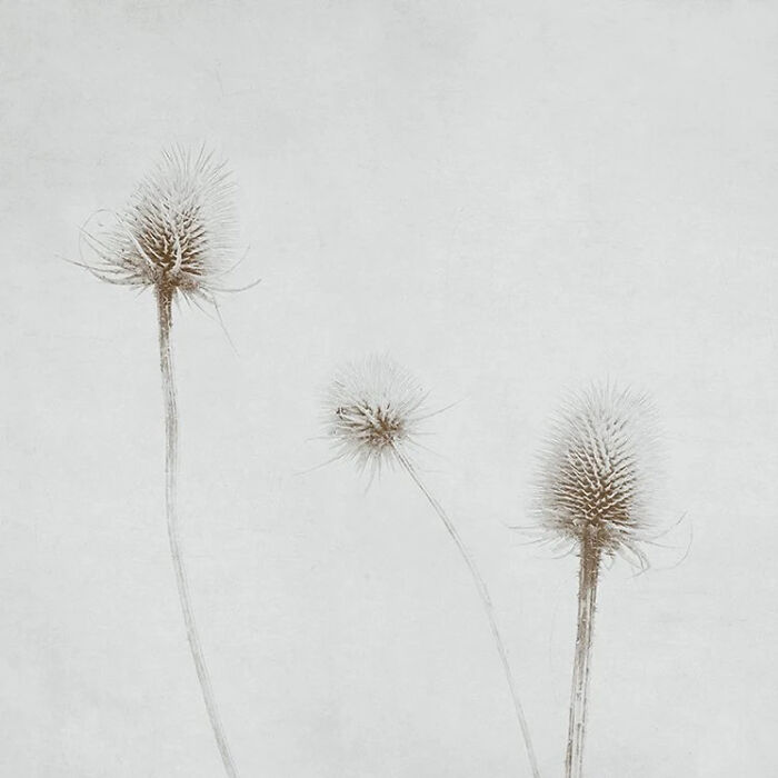 36 Art Pieces That Blend Photography And Paint By Nadia Attura 36 Art Pieces That Blend Photography And Paint By Nadia Attura