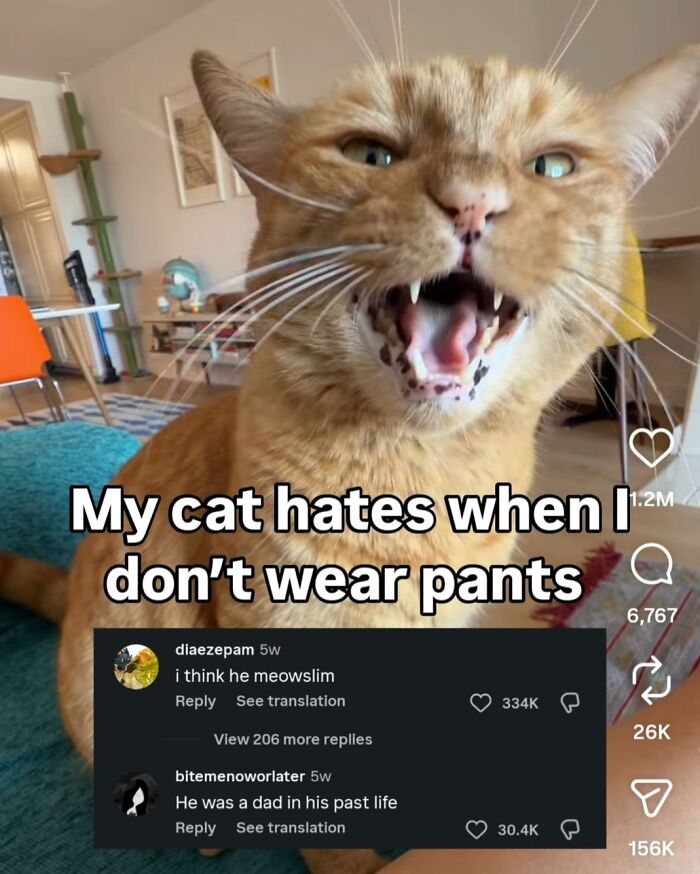 48 Unbelievably Perfect Replies Spotted In The Comments That Completed The Original Post (New Pics)