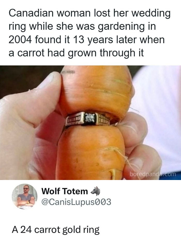 48 Unbelievably Perfect Replies Spotted In The Comments That Completed The Original Post (New Pics)
