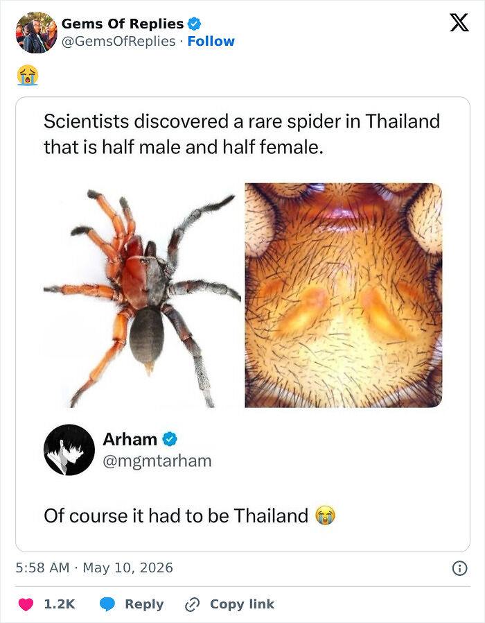 48 Unbelievably Perfect Replies Spotted In The Comments That Completed The Original Post (New Pics)