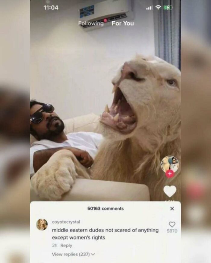 48 Unbelievably Perfect Replies Spotted In The Comments That Completed The Original Post (New Pics)