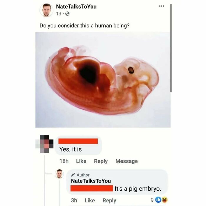 48 Unbelievably Perfect Replies Spotted In The Comments That Completed The Original Post (New Pics)